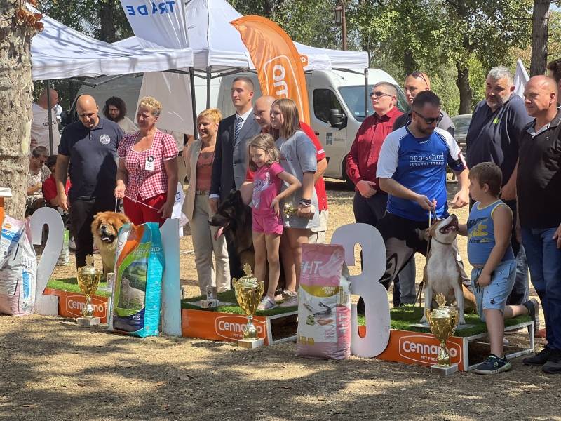 Uspešno realizovana Nacionalna izložba pasa svih rasa
