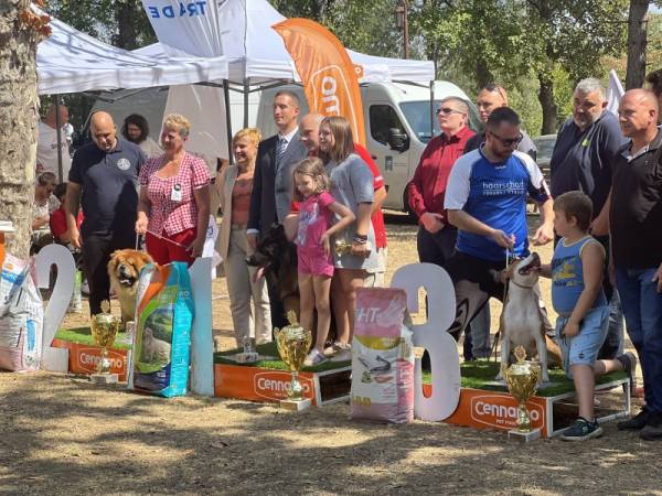 Uspešno realizovana Nacionalna izložba pasa svih rasa