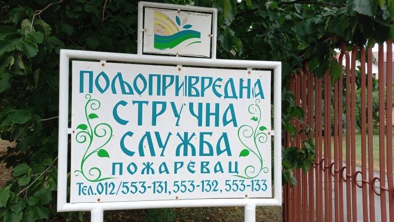 U petak Dan polja hibrida kukuruza