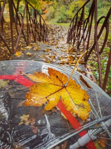 Jesen stiže u nedelju u 14.43 sati