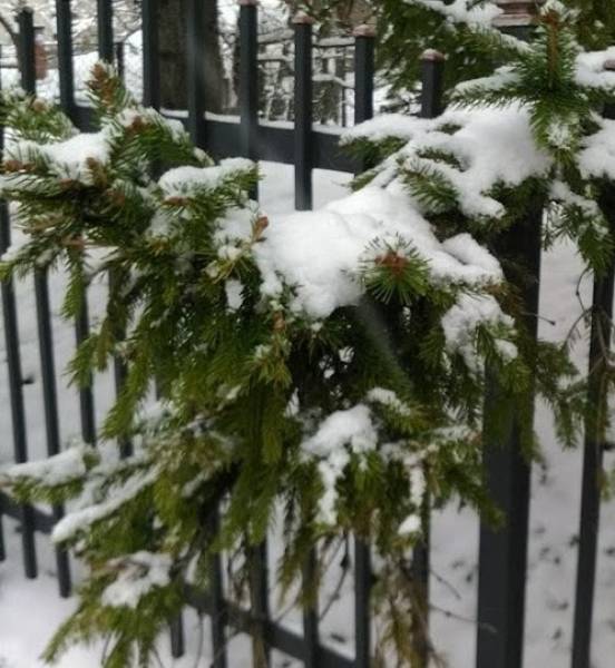 Pao prvi sneg u Srbiji