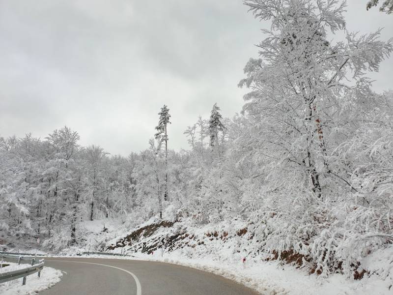 Kopaonik spreman za doček turista