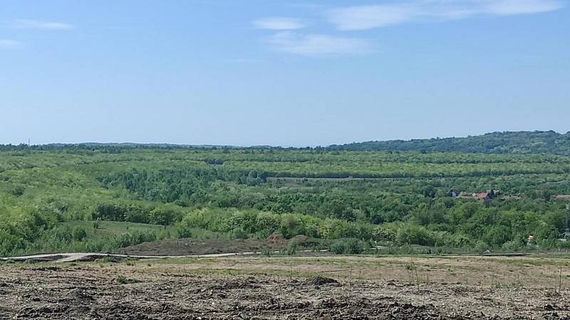 Rekultivacija na odlagalištu Kopa „Drmno” - Šumski zasadi preživeli leto