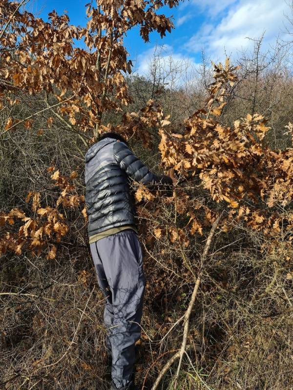 Ovo su običaji za BADNJE JUTRO