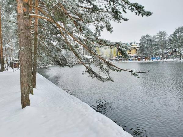 Zlatibor jednom ili dva puta godišnje poseti 61 odsto građana Srbije