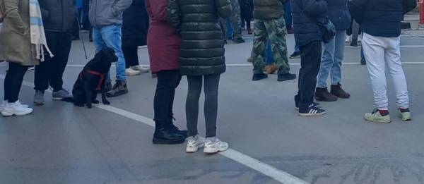 “Forum požarevačkih škola”: Okupljanja ispred škola u Požarevcu