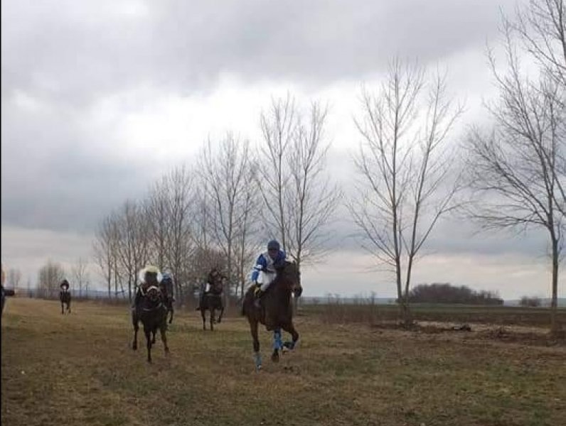 Todorova subota, manifestacija posvećena konjarstvu