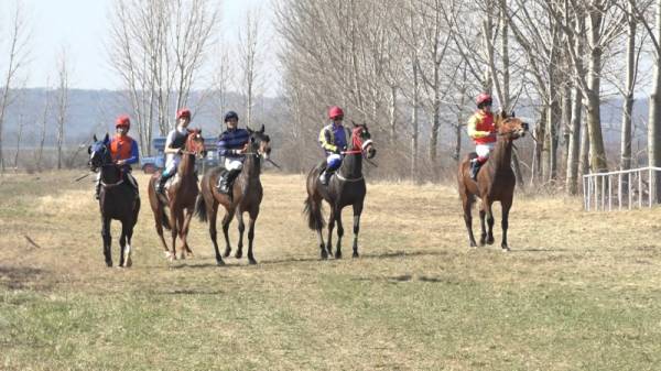Kasidol na Todorovu subotu ponovo potvrdio svoju slavu u konjičkom sportu