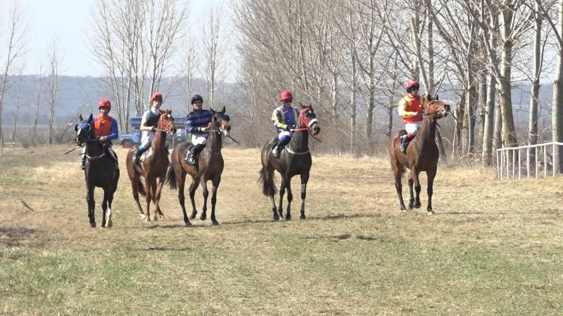 Kasidol na Todorovu subotu ponovo potvrdio svoju slavu u konjičkom sportu