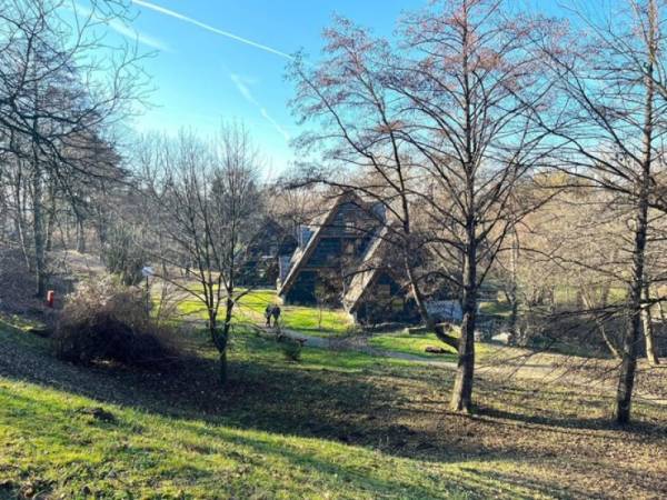 SSP: Dan šuma Požarevac obeležava sa manje drveća nego ikada