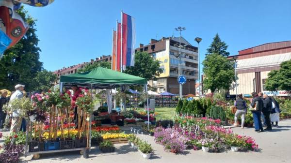 Otvoren Festival cveća u Požarevcu (FOTO)
