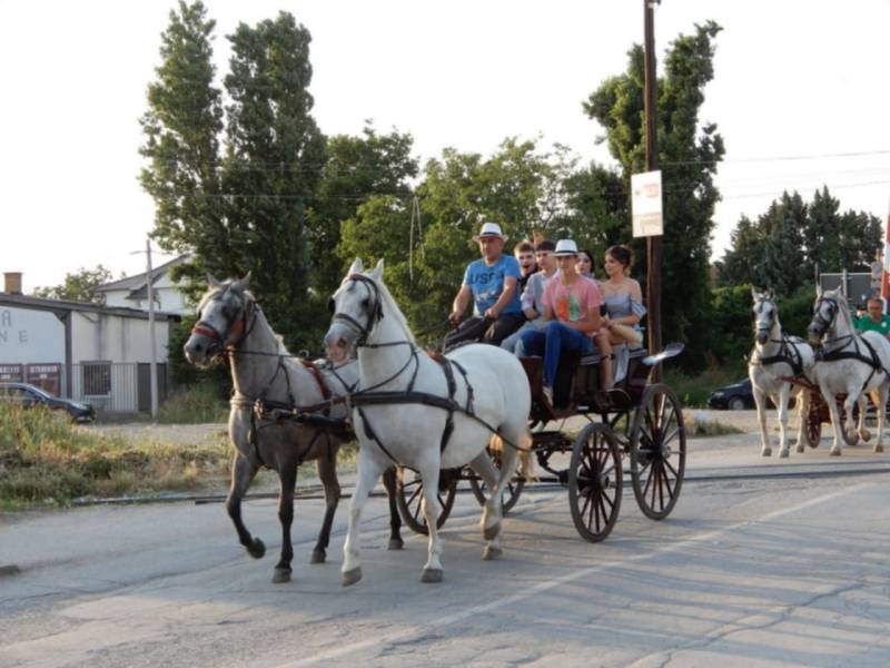 Odeljenje veterinarskih tehničara iz Požarevca u nezaboravnom stilu