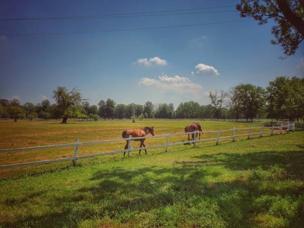 Upozorenje RHMZ: Do kraja nedelje veoma toplo
