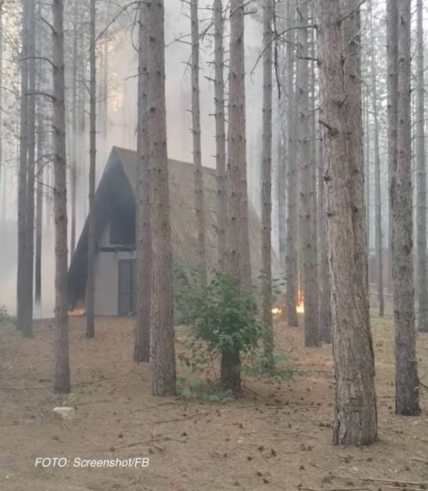 Završen uviđaj u Vincima nakon velikog požara