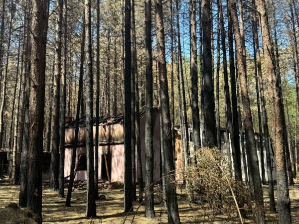 Javni poziv za prijavu štete nastale u požarima u Golupcu