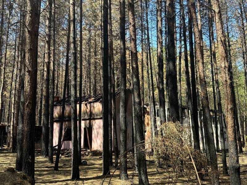 Javni poziv za prijavu štete nastale u požarima u Golupcu