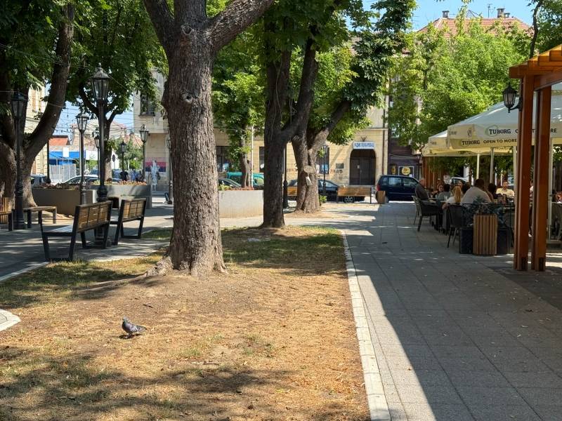 Stižu obilne padavine i osveženje: U Požarevcu do 29 stepeni