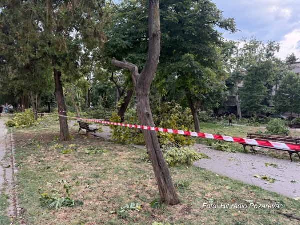 Gradonačelnik Pavlović: Sve službe na terenu, sanacija štete nakon nevremena u toku