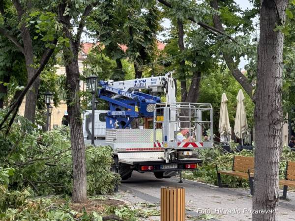 JKP na terenu: Raščišćavanje Gradskog parka i Čikoša u toku