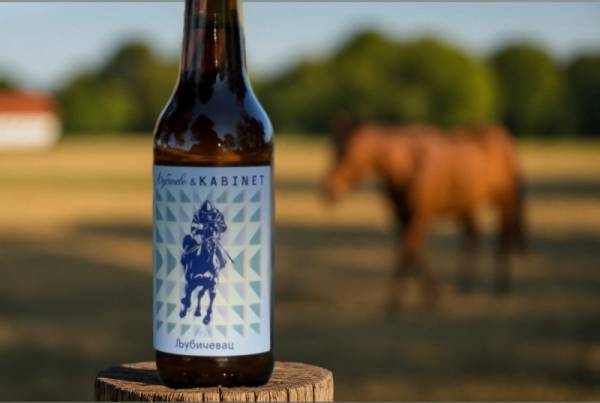 Predstavljamo „Ljubičevac“ – novo domaće pivo inspirisano duhom Ergele Ljubičevo!