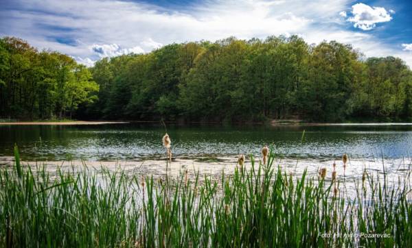 Tretman suzbijanja larvi komaraca 19. i 20. avgusta u Požarevcu