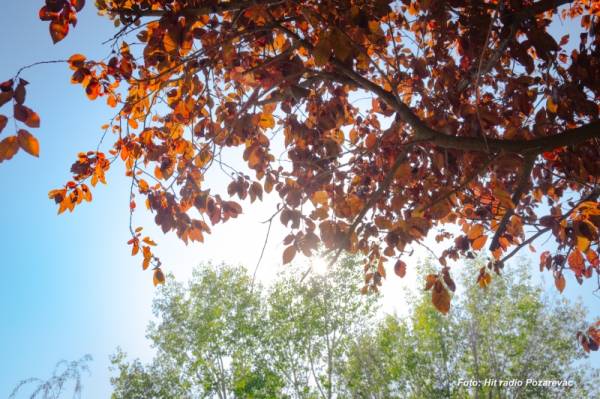 Topao oktobarski dan pred nama