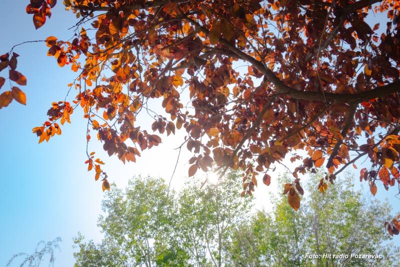 Topao oktobarski dan pred nama