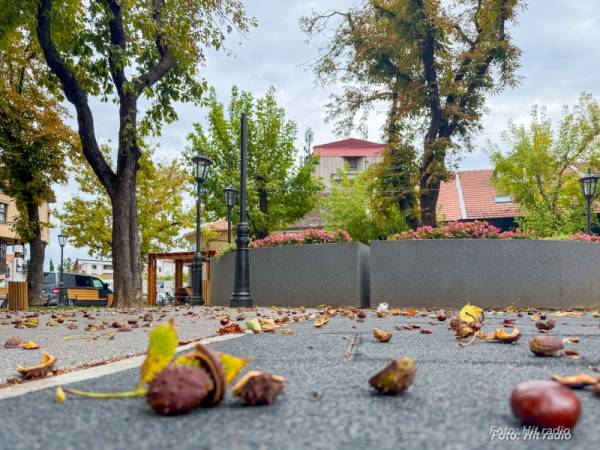 Svež početak nedelje uz jutarnji mraz, tokom dana sunčano i do 17 stepeni