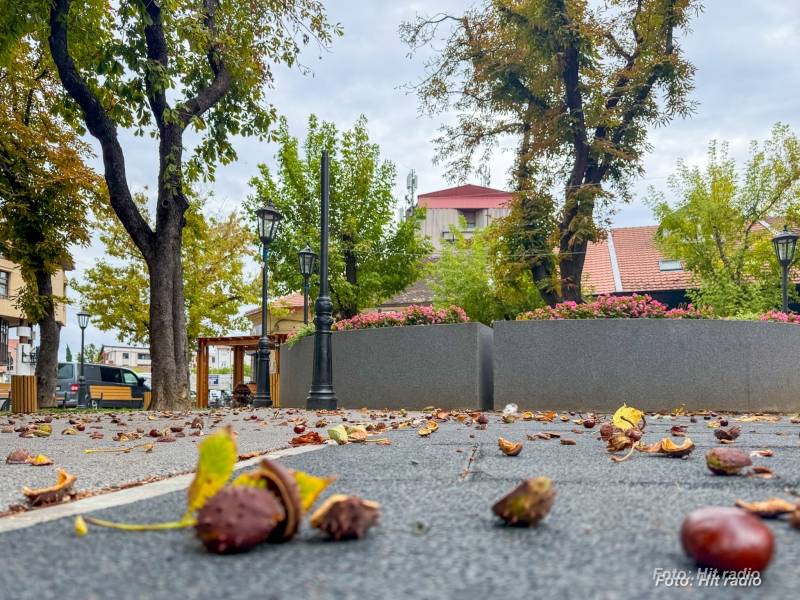 Svež početak nedelje uz jutarnji mraz, tokom dana sunčano i do 17 stepeni