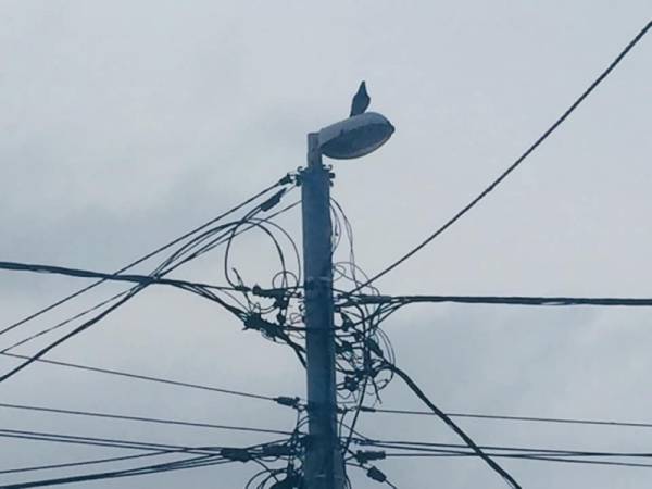 Više naselja bez struje 26. novembra zbog radova na mreži