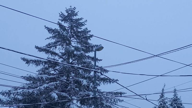 Građani Srbije tokom Božića potrošili blizu 93 miliona kWh električne energije