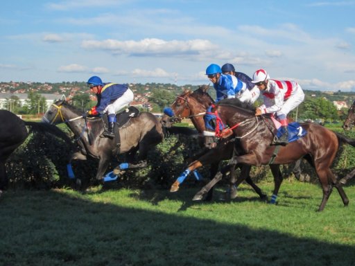 Trkačkim danom „Todorova subota“ u Kasidolu počinje sezona konjičkih takmičenja