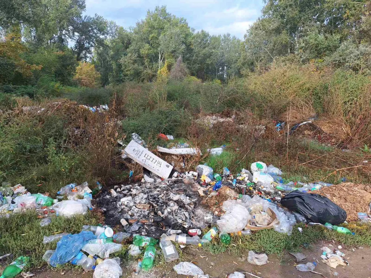 Foto: JKP "Komunalne službe" Požarevac