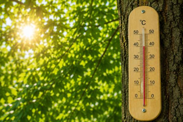 RHMZ upozorava na visoke temperature i povećan rizik od požara