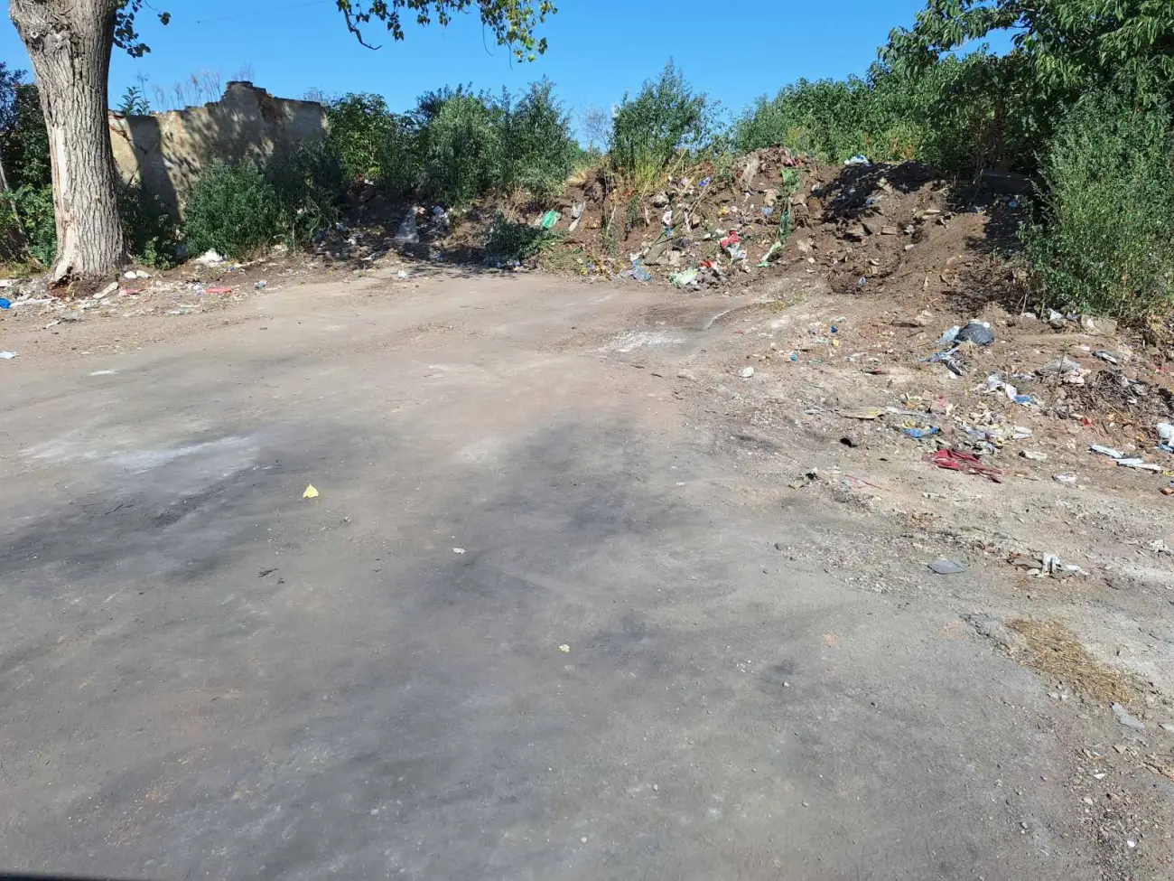 Foto: JKP „Komunalne službe“ Požarevac