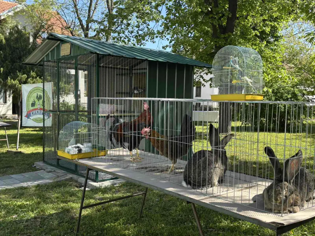 Foto: Hit radio/I.B.