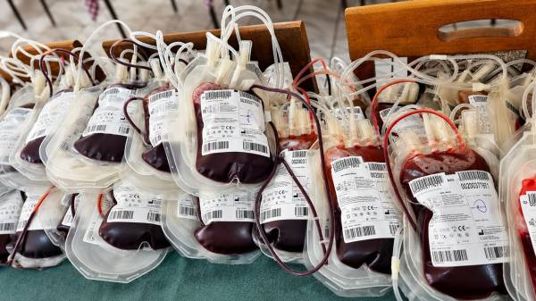 Požarevljani od početka Letnje kampanje dali 442 jedinice krvi, danas nova akcija