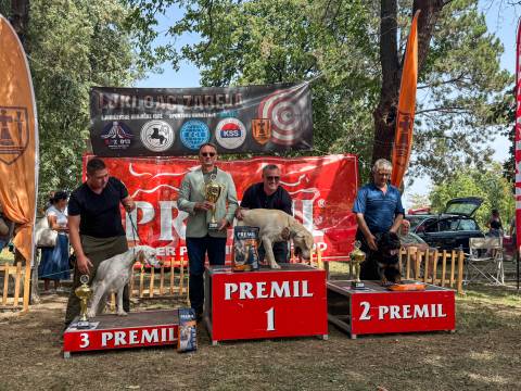 Nacionalna izložba pasa održana u Zabeli