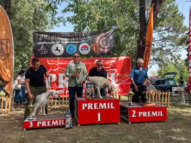Nacionalna izložba pasa održana u Zabeli