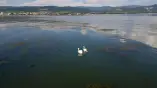Veliko Gradište obeležava Dan Dunava uz bogat program za decu i porodice