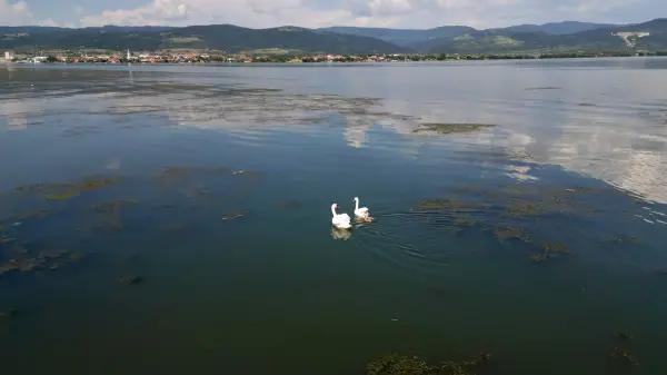 Veliko Gradište obeležava Dan Dunava uz bogat program za decu i porodice