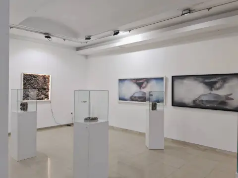U Galeriji Narodnog muzeja Požarevac otvorena izložba „Sedimenti Banata“
