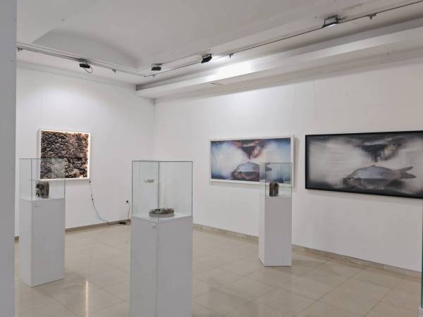 U Galeriji Narodnog muzeja Požarevac otvorena izložba „Sedimenti Banata“