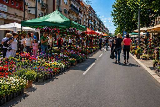 Festival cveća u Požarevcu u maju: Evo kog vikenda će biti