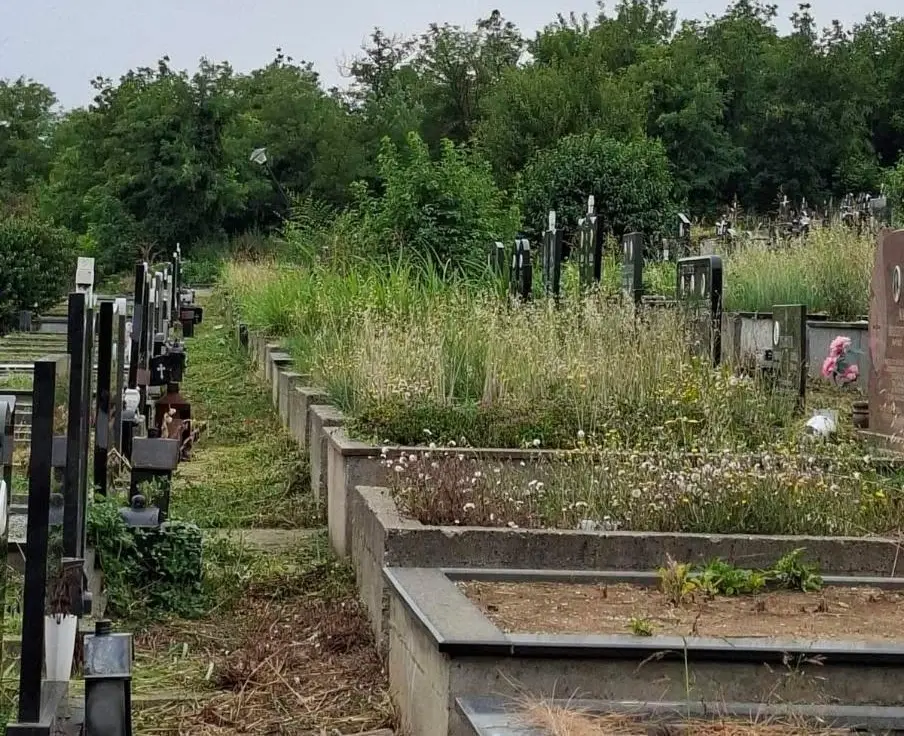 Foto: JKP "Komunalne službe" Požarevac