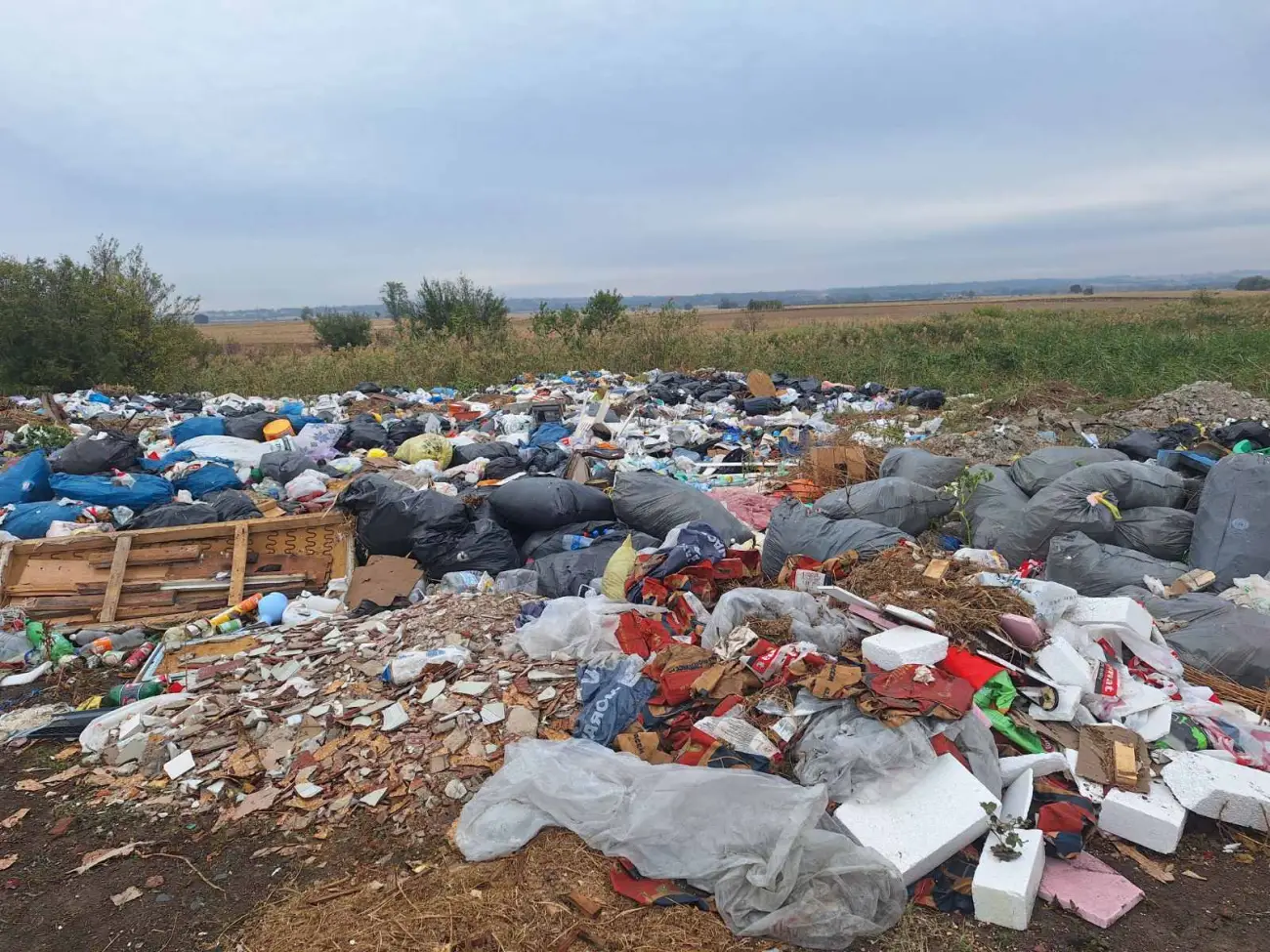 Foto: JKP "Komunalne službe" Požarevac