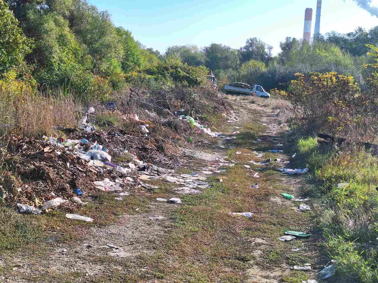 Foto: JKP "Komunalne službe" Požarevac