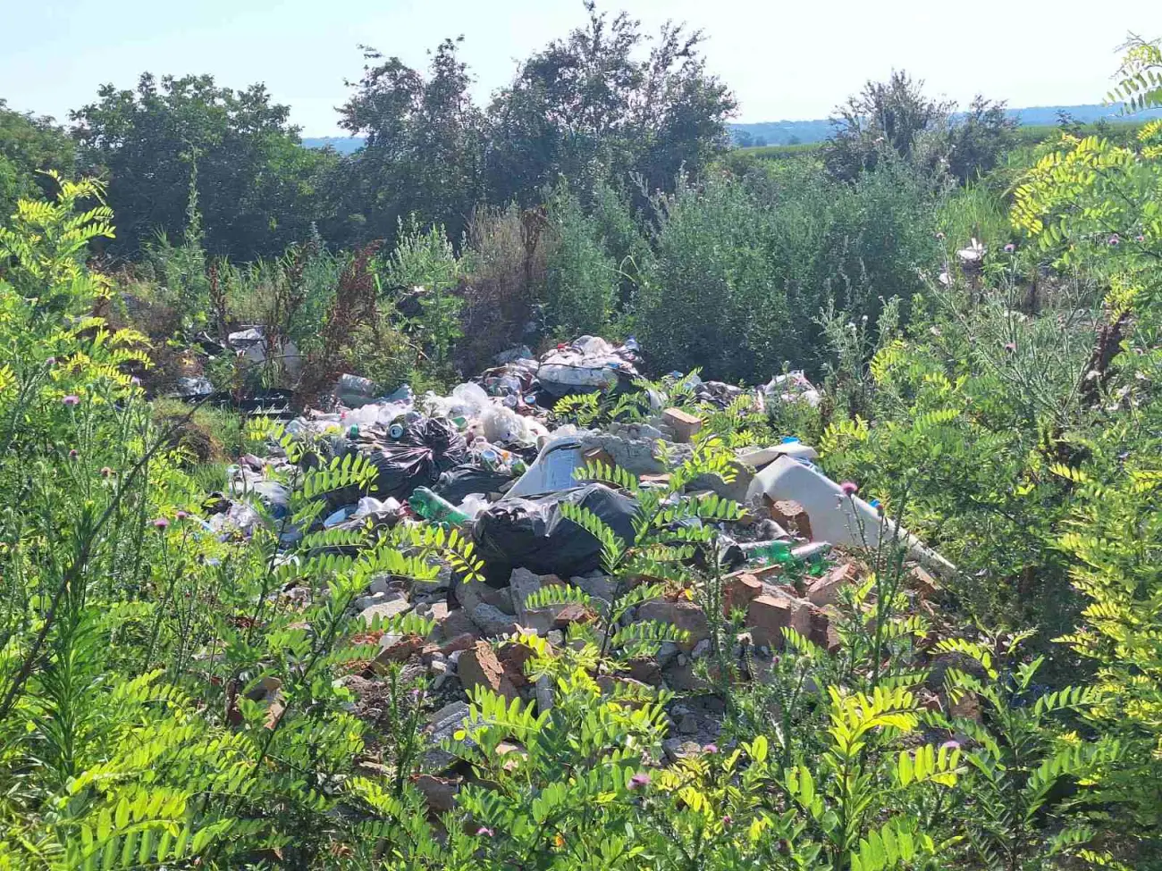 Foto: JKP „Komunalne službe“ Požarevac