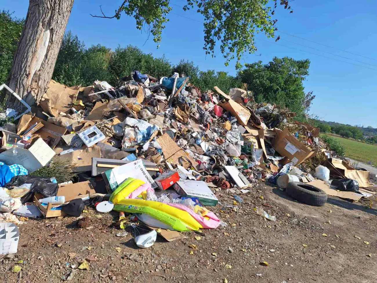 Foto: JKP „Komunalne službe“ Požarevac