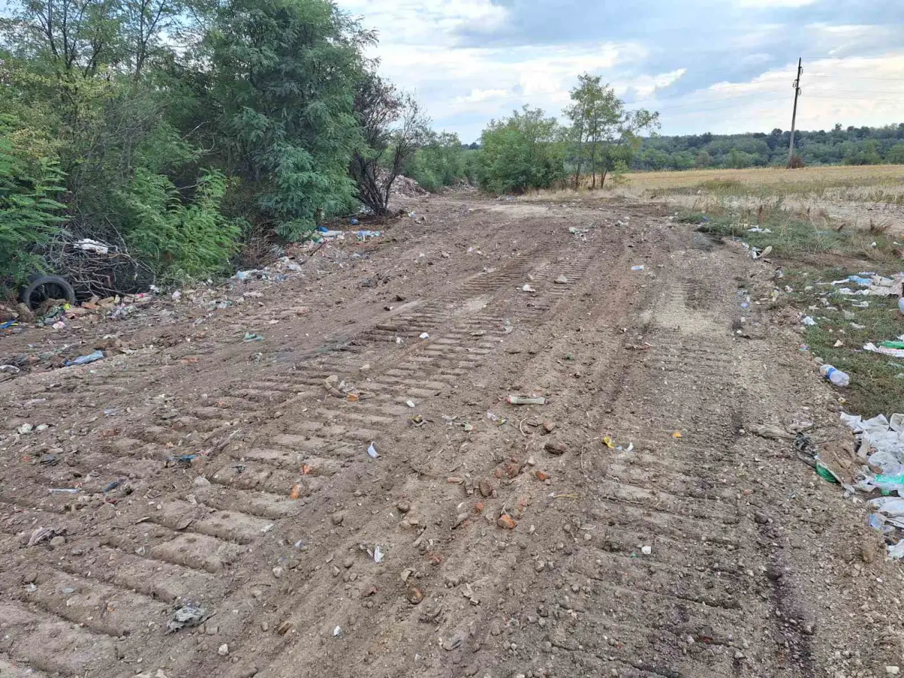 Foto: JKP "Komunalne službe" Požarevac